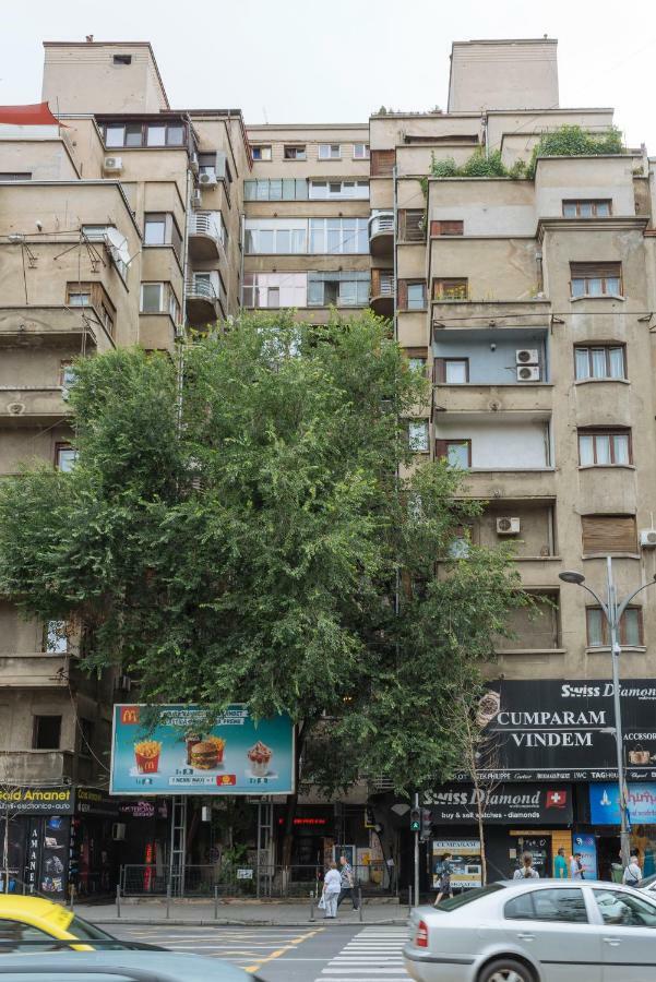 בוקרשט Petite Maison Sur Le Boulevard מראה חיצוני תמונה